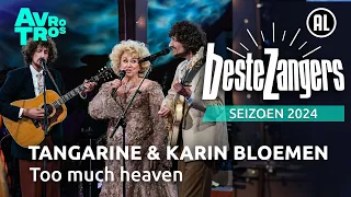 tangarine u0026 karin bloemen too much heaven beste zangers