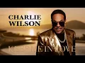 Charlie Wilson-Keep Me In Love (Visualizer)