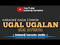 Download Lagu UGAL UGALAN KARAOKE NADA COWOK - SRI AVISTA | TARLING LIRIK TANPA VOKAL 2024