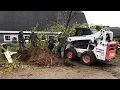 Arbor Day on Appleton Farms 2019