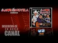Download Lagu BANDA FORRÓ AMOR DE NOVELA - Mistério