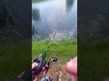 Download Lagu Has this ever happened to you? #bassfishing #fishing #bass #snappingturtles