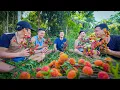 Download Lagu Mùa Vải Rừng - Quả Ngon Cuối Ngày