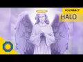 Meaning of Halo