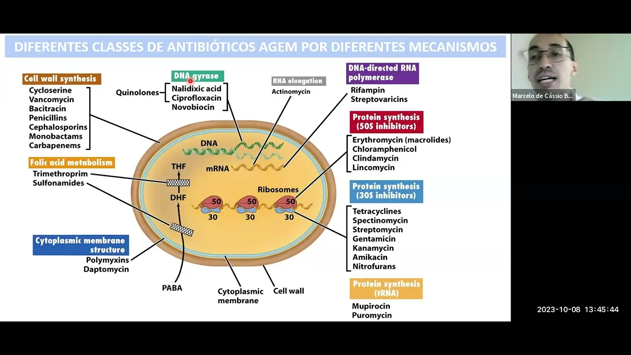 Resistência Bacteriana e Antibiograma