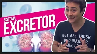Sistema Excretor | Prof. Paulo Jubilut