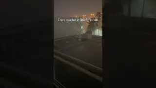 Hurricane force winds and torrential rain in south florida! #shortvideo #rain #storm #hurricane