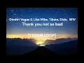 Dimitri Vegas & Like Mike, Tiësto, Dido,  WW - Thank you not so bad [1 HOUR LOOP]