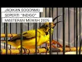 Download Lagu MASTERAN SOGON MATERI PRENJAK SAMBUNG BREN | MASTERAN SOGON INDIGO | MASTERAN MEWAH 2025