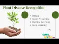 Python Image Processing Projects - Plant Disease Recognition