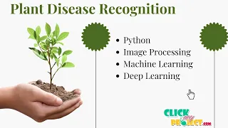 Python Image Processing Projects - Plant Disease Recognition