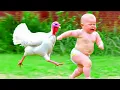 Lagu Hilarious Baby Reactions To Farm Animals - Funny Baby Video | Pet Paws
