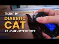 Daily Glucose Testing for Cats with Diabetes Step-by-Step Home Demo with Tips