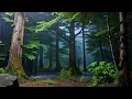 Download Lagu Relaxing Sleep Music with Rain Sounds for Stress Relief \u0026 Better Sleep