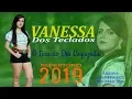 Download Lagu Vanessa Dos Teclados - 2019 (O Furacão Das Vaquejadas)