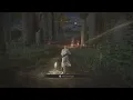1 06 Elden Ring Medium vs Light Equip Load Roll Distance Test