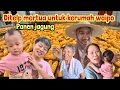 Download Lagu PAGI DITELP MERTUA UNTUK DATANG KERUMAH WAIPO TAPI ABRU DARANG SIANG TERYATA PADA PANEN JAGUNG