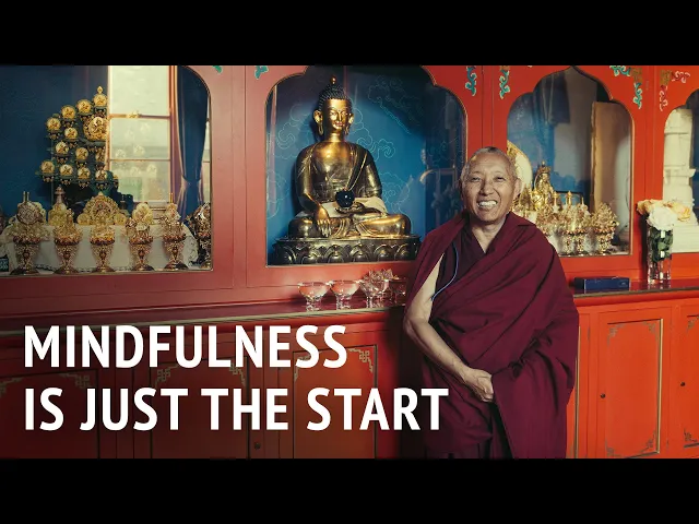 Mindfulness Is Just The Start | Geshe Tashi Tsering