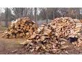 FINAL WOODPILE TOUR WINTER 2016 - 2017