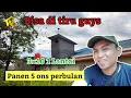 Download Lagu Motivasi buat seluruh petani walet mancanegara, rbw ukuran 3x10 1 lantai juga bisa Sukses