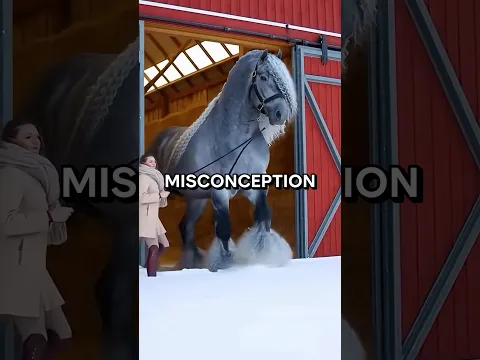 The Craziest Animal Misconceptions