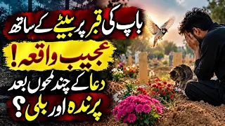 Baap Ki Qabar Par Bete Ke Saath Ajeeb Waqia! Dua Ke Chand Lamhon Baad Parinda Aur Billi