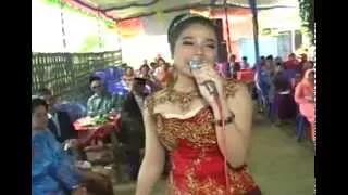 shaggydog ditato voc vivi volenta dangdut campursari zelinda live semang 2015