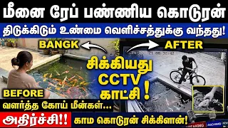 மீன்களை  ரேப் பண்ணிய காம கொடூரன் .!தாய்லாந்தில் நடந்த கேவலம்.!
