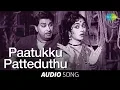 Padagotti | Paatukku Patteduthu song | MGR |  M.G. Ramachandran | Saroja Devi | Tamil Sad Songs