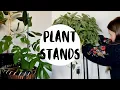 My Favorite Plant Furniture PLANT STAND HAUL