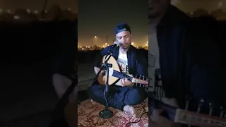 گیاوان زمین مراد گزیچی 