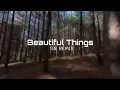 Download Lagu DJ Milu Remix - Beautiful Things (new remix)