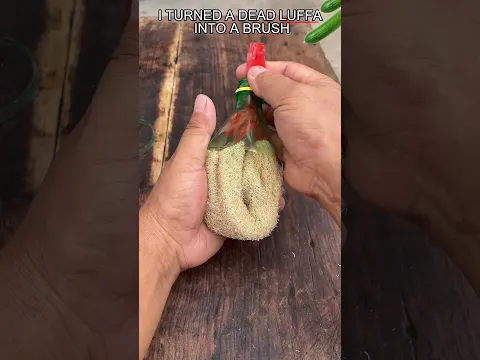 I turned a dried-out luffa into a brush! 🥒
