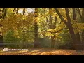 Morning October 🍂 Autumn Song -  Happy Music to Start Your Day | Indie/Pop/Folk/Acoustic Playlist