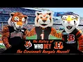 The History Of Who Dey the Cincinnati Bengals Mascot