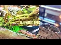 VISITING NJ EXOTIC PETS NEW LOCATION TOUR WITH ME