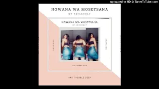dj voicevolt u0026 treble deep ngwana wa mosetsana