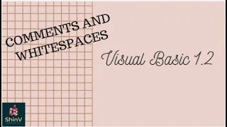 COMMENTS AND WHITESPACE Visual Basic