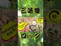 Download Lagu Shamisen Rock \