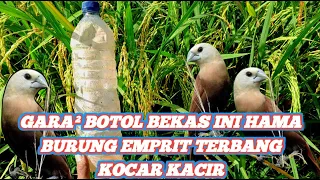 just using this bottle were sitting relaxed in the shut of the emprit building bird 