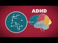 AD Symptoms Causes and How the Brain Works WebMD