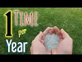 This Is The ONLY Time I d EVER Apply Weed Feed To My Lawn