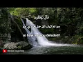 Download Lagu Unbelievable Recitation with Khusoo || Hani Ar' Rifai || Surah Al An'aam Verses 95 -107 \