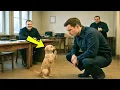 Download Lagu A Stray Puppy Ran Into a Police Station for Help – What the Officer Found Made Everyone Cry