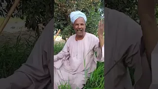 الصبر لو له تقاوي لازرعه فدادين دندنها