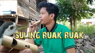 cara membuat suling ruak ruak untuk berburu