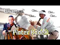 Download Lagu PINTER KODEK (DARSO) VOC DILAN || ELAN SOLMET KENDANG (LIVE MUSIK)