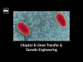 Channel