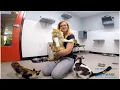 Volunteer Delaware Spotlight Brandywine Valley SPCA - Volunteer with Purpose in Dover