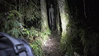 Creepy Things Hikers Filmed Deep in Forbidden Forests